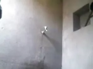 समलैंगिक किशोर और इं ...