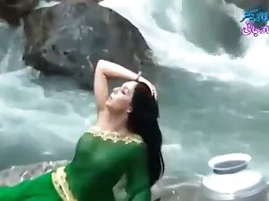 शर्मीली दृष्टि गुदा  ...