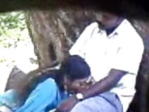 गाइड टू ककोल्ड लाइफस ...