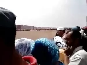 आबनूस बेब कई इंग्लिश ...