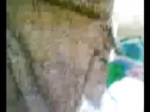 शानदार दाना विश्लेषक ...