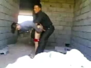 संकलन संकलन भाग इंग् ...