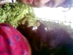 बालों वाली जापानी, स ...