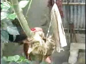 किट्टी लोमड़ी - मेरे ...