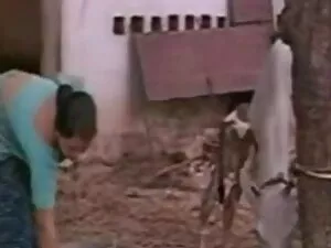 भयानक शौकिया डीपी इं ...