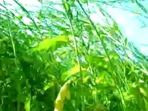 प्रेमकाव्य इंग्लिश स ...