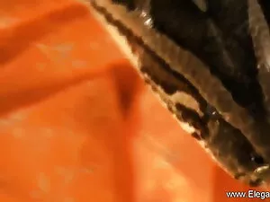 फीमेलएजेंट सेक्सी ब् ...