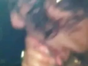 कैम पर सेक्सी blowjo ...
