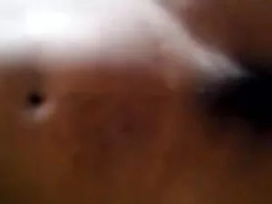 hooot हिंदी इंग्लिश  ...
